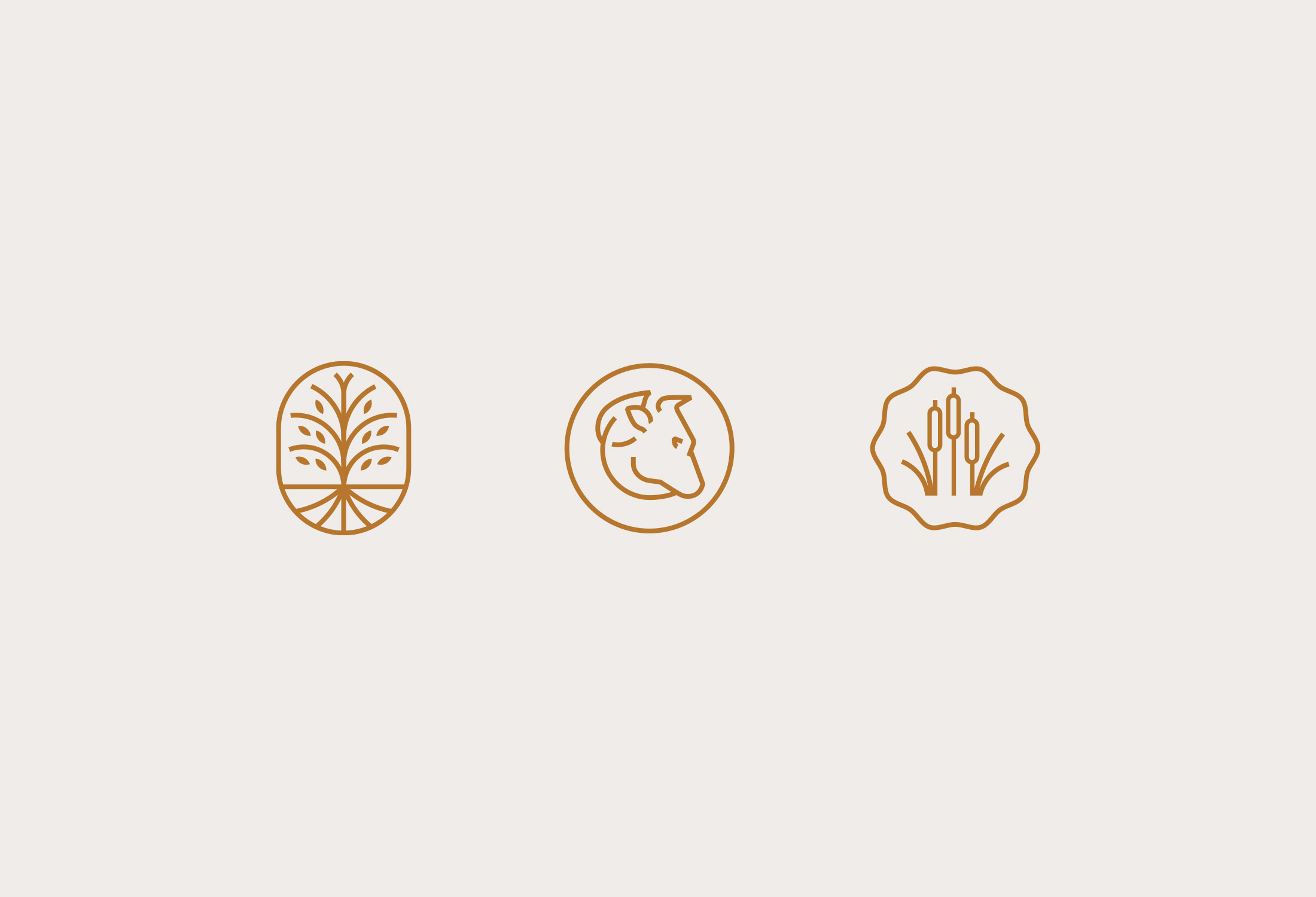 Wyuna Regenerative Agriculture