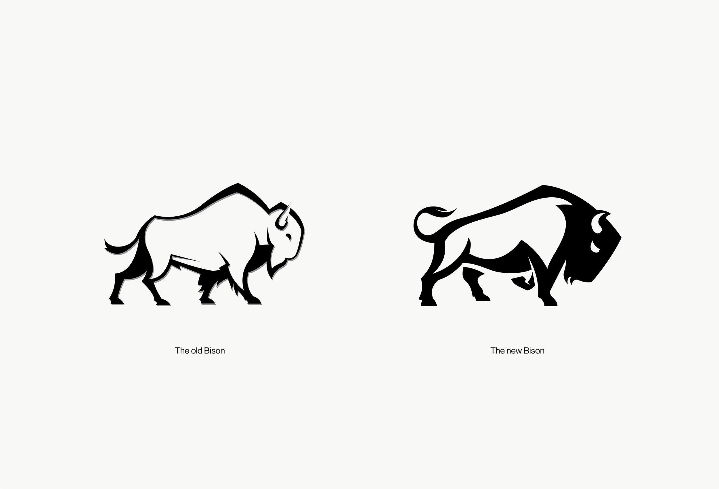 Bison Constructions brand identity