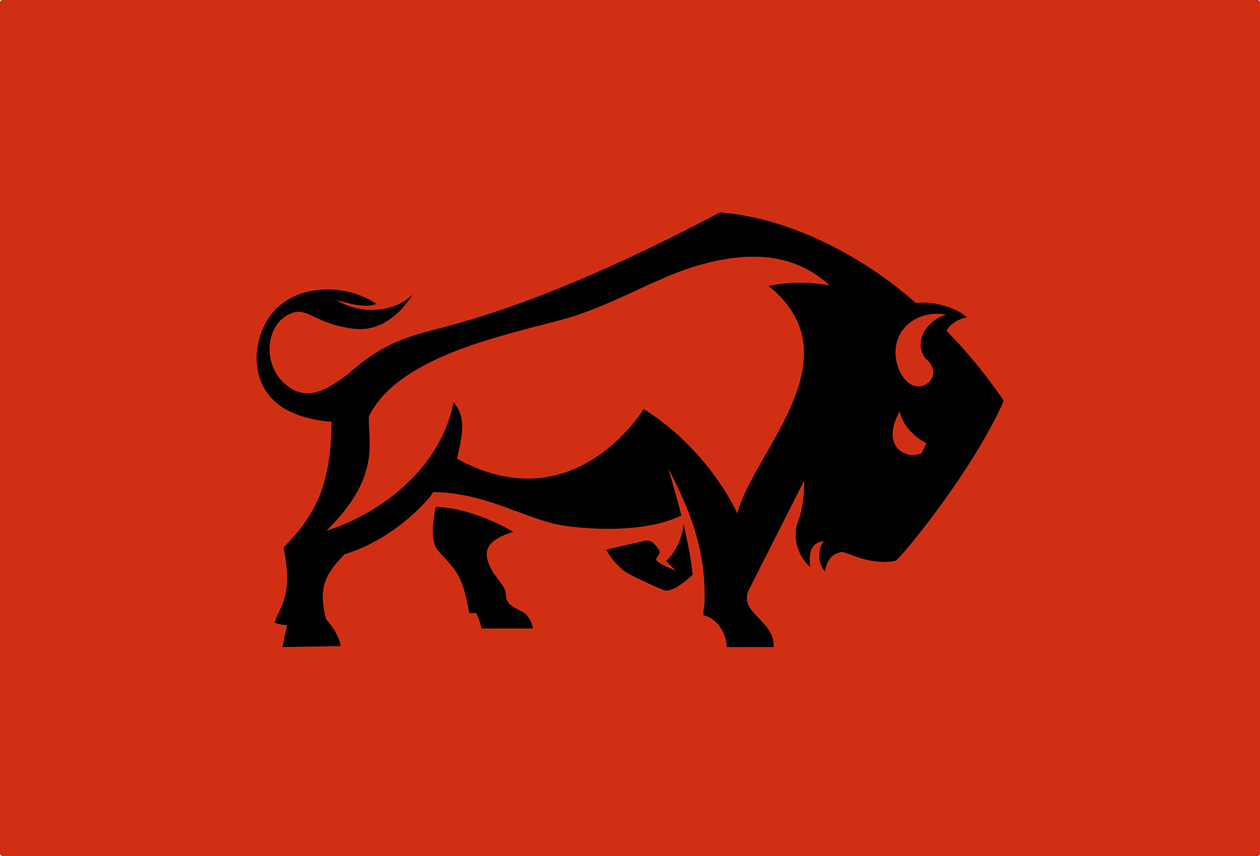 Bison Constructions brand identity