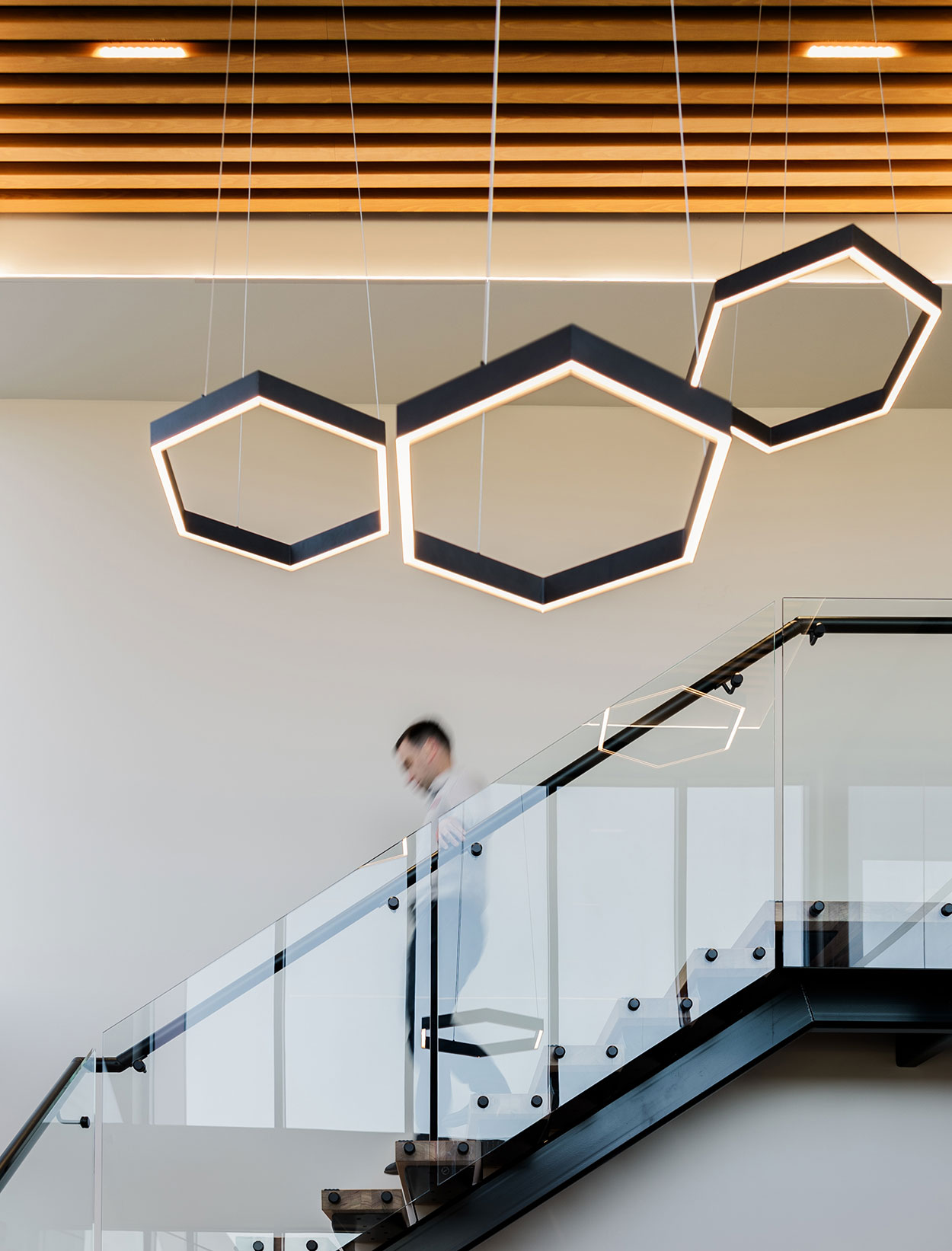 Bison Constructions brand identity
